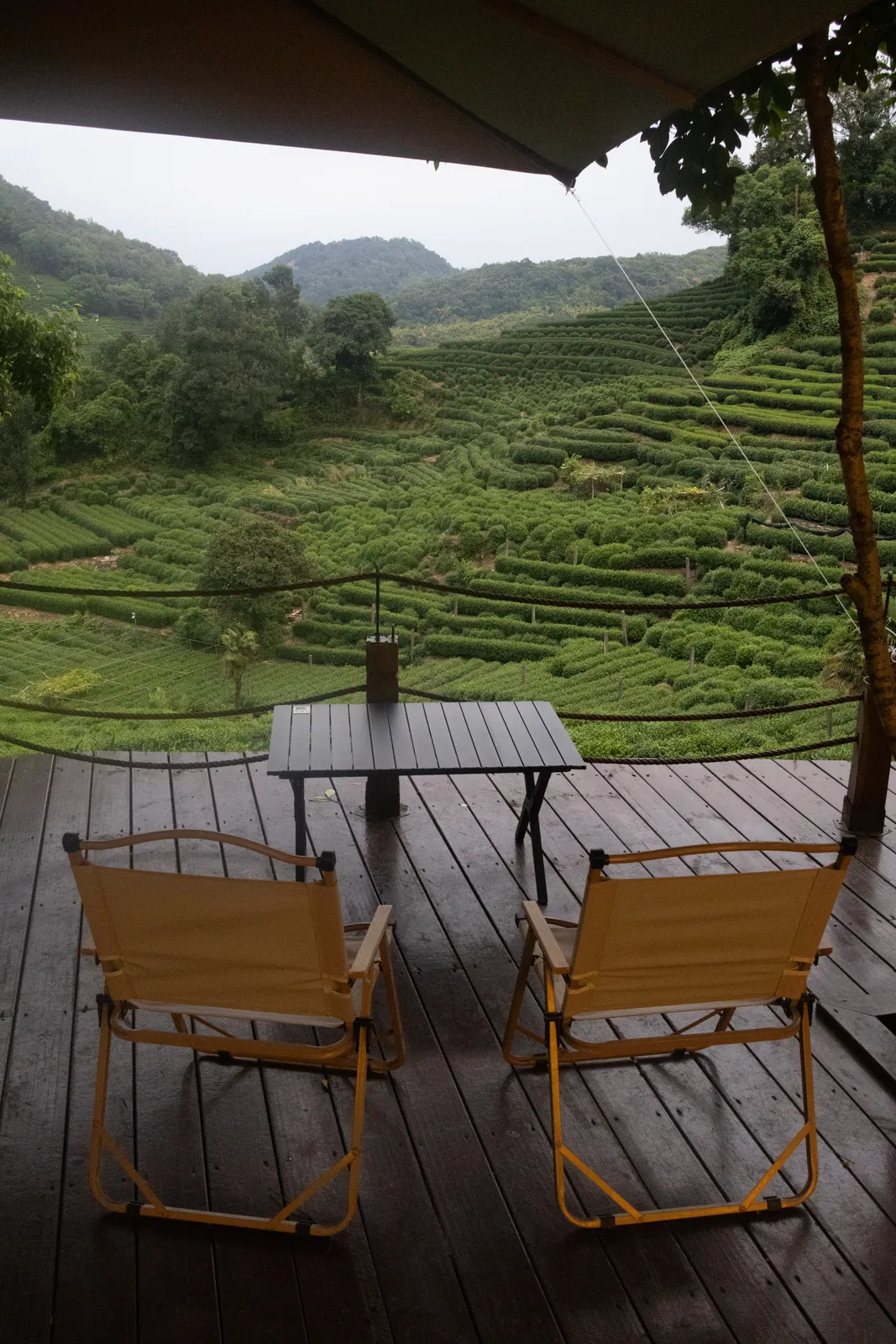 A café terrace looking over the Longjing tea fields