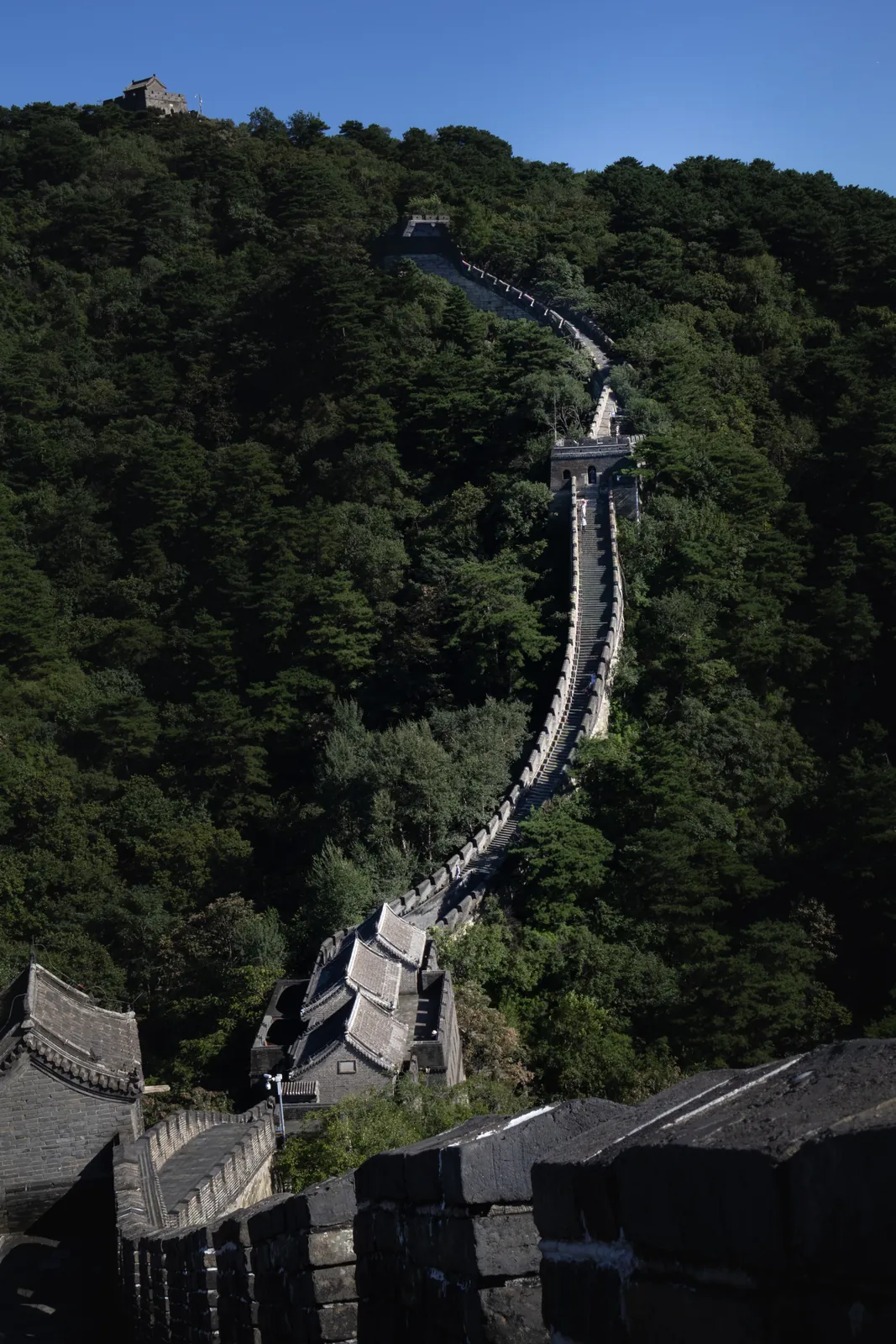 The Great Wall at Mutianyu climbing a green ridge