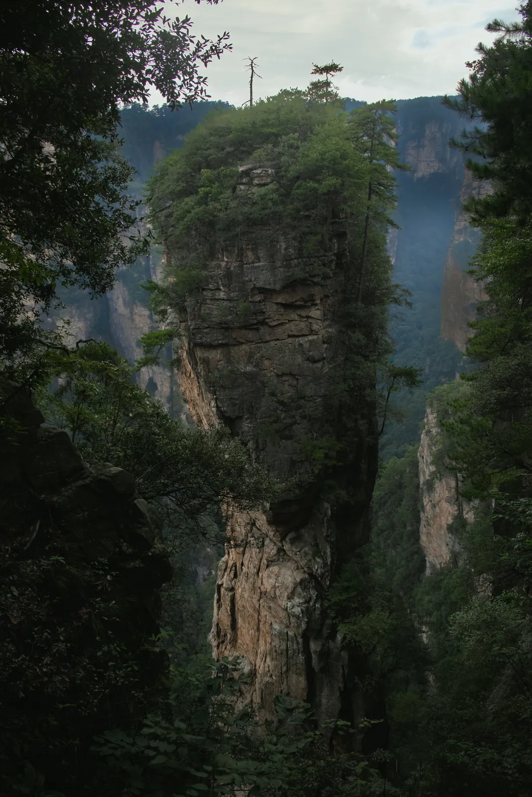 A single stone pillar covered in trees, in Zhangjiajie National Forest Park