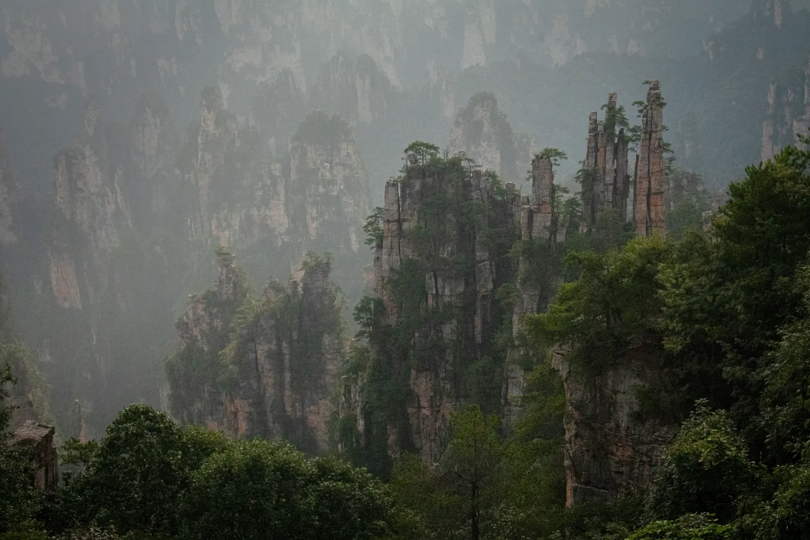 The stone pillars of Zhangjiajie in the mist